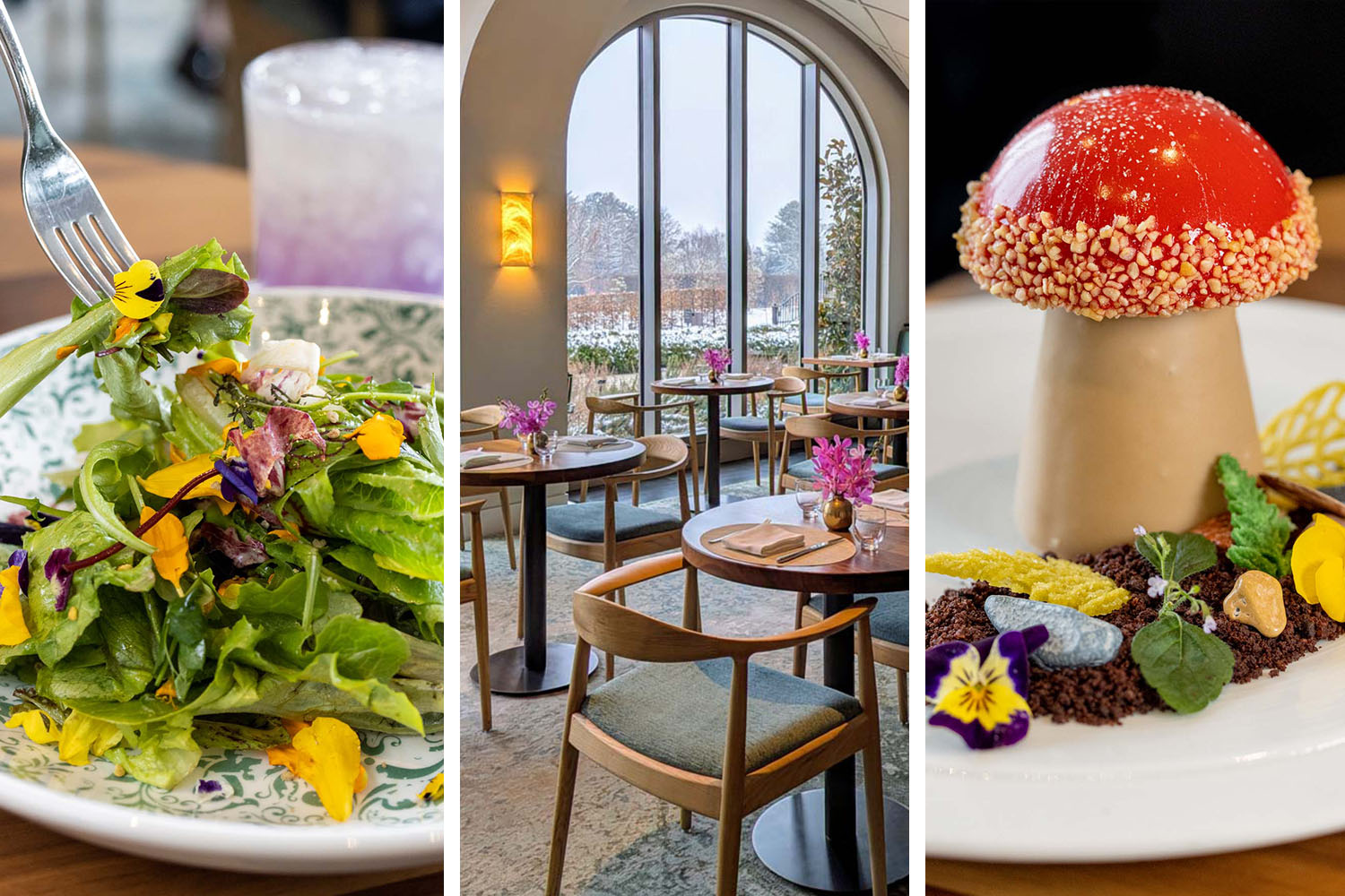 1906 at Longwood Gardens Review: A Fine Dining Experience