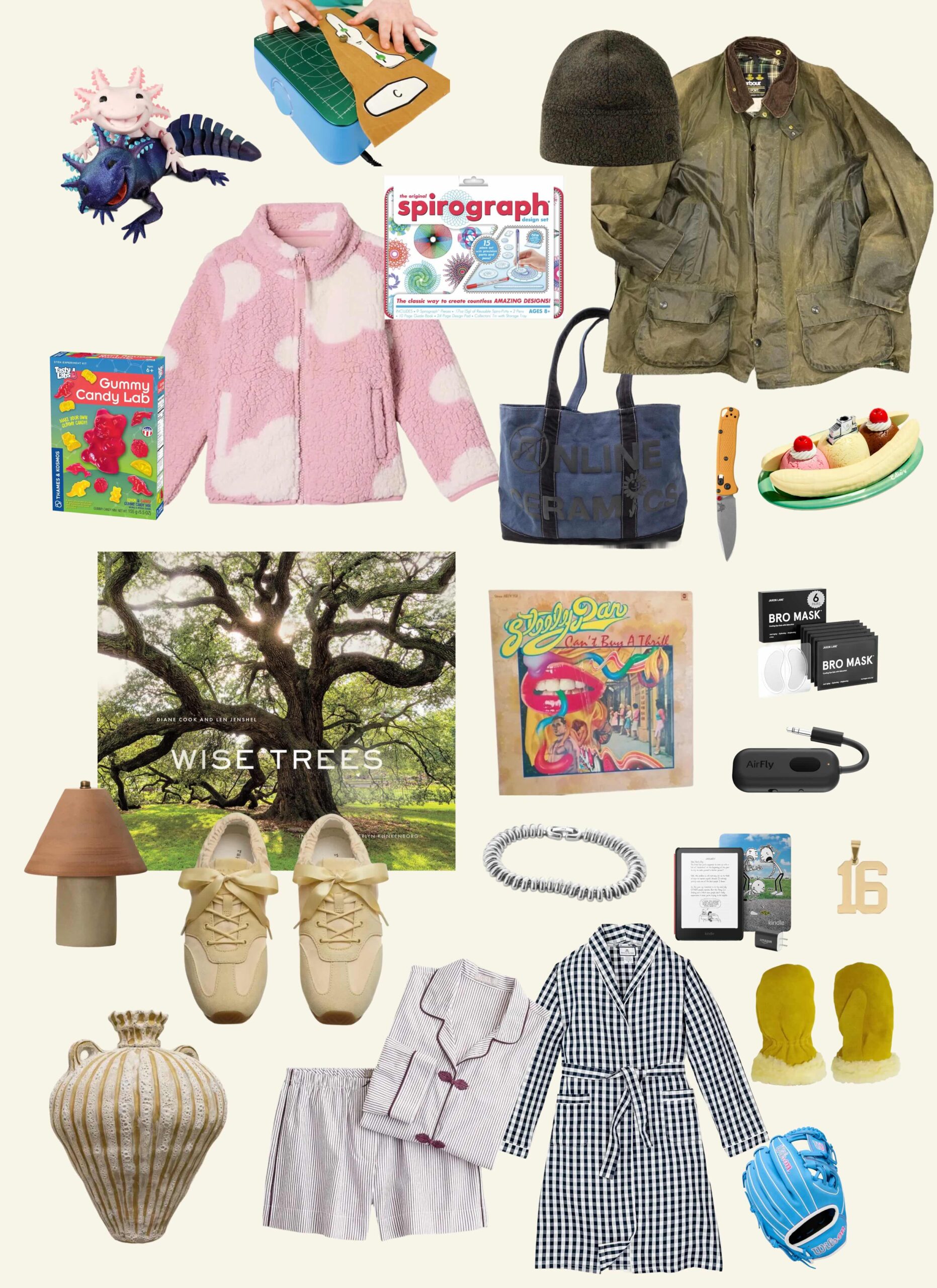 My Family’s 2025 Holiday Wish Lists: 47 Gift Ideas for People of All Ages | Wit & Delight