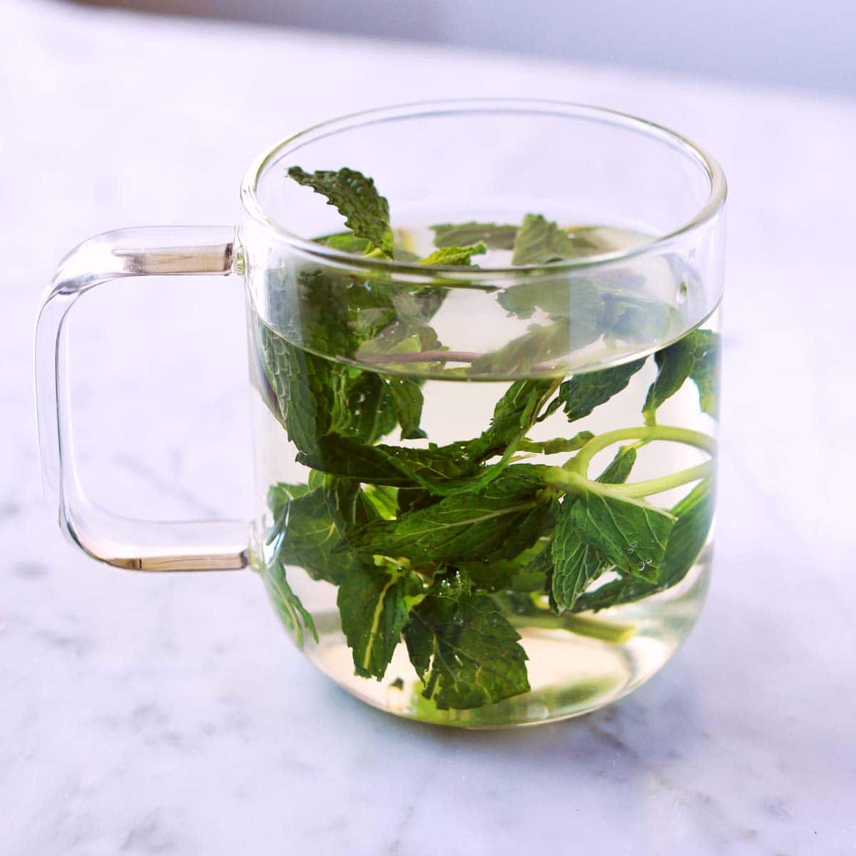Fresh Mint Tea – A Beautiful Mess